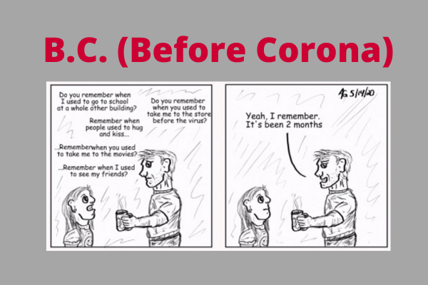 IT staff member creates comic strips about life under coronavirus