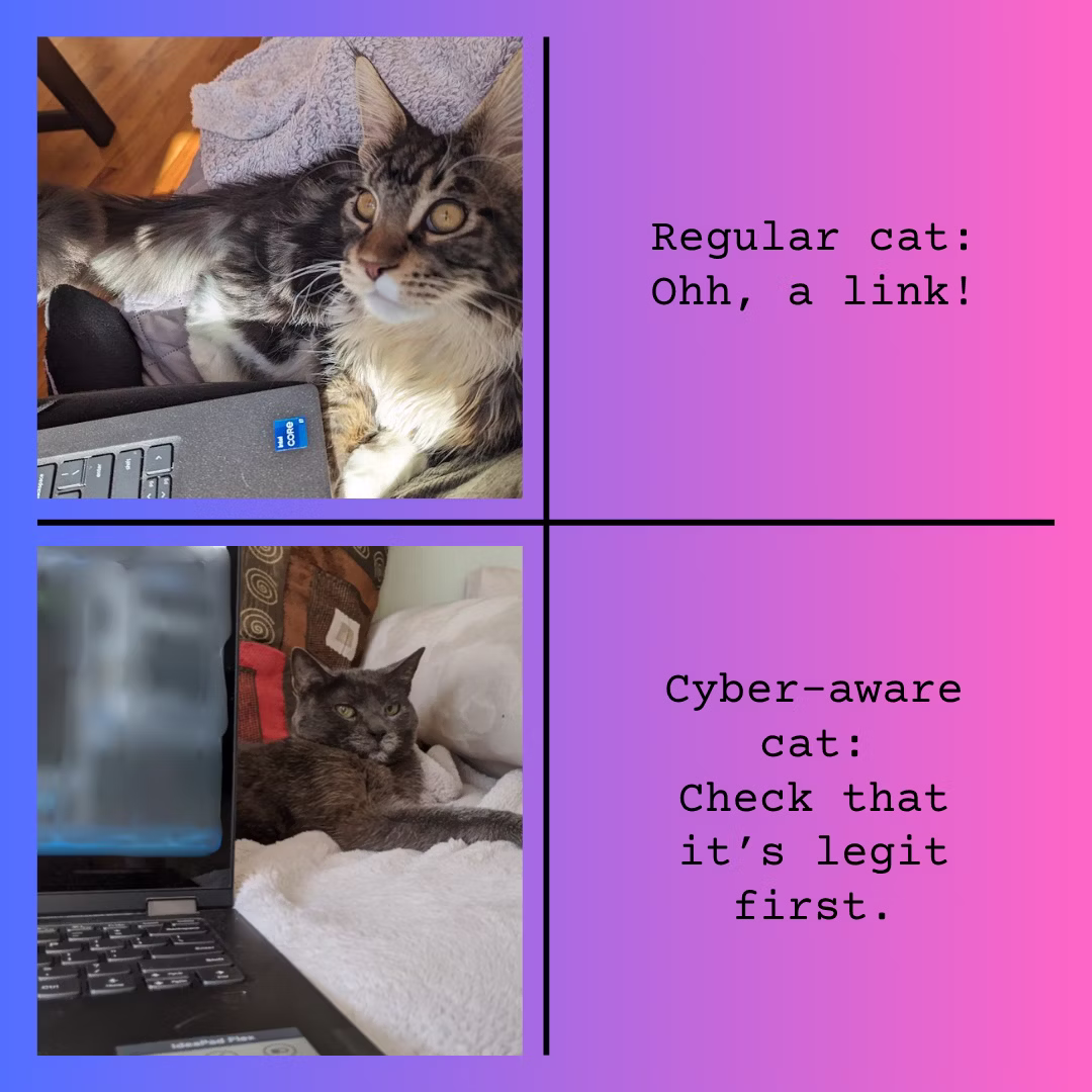 Regular cat says Oh, a link! Cyber-aware cat says check that it's legit first.