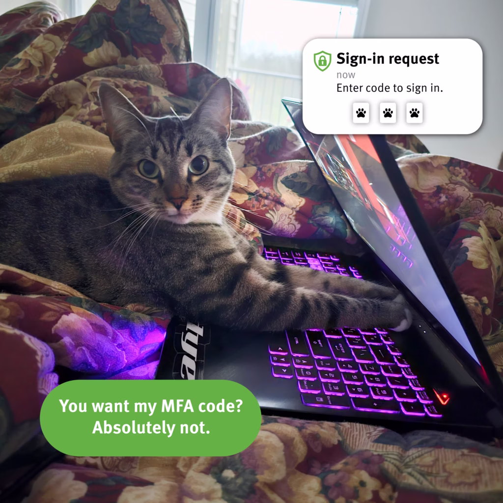 Cat saying: you want my MFA code? Absolutely not.